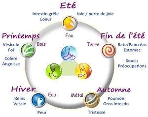 Liens émotions organes Complément de la MTC