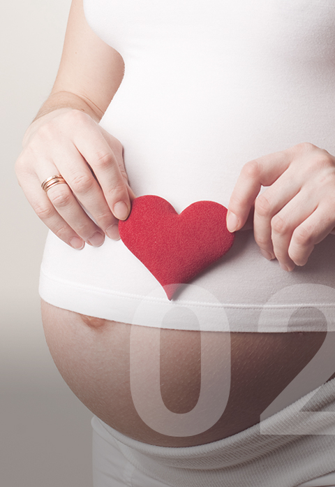 9 месяцев под сердцем. сердце матери на сковородке. стат с про беременность. боги близнецы/двойняшки. день матери демотиватор.